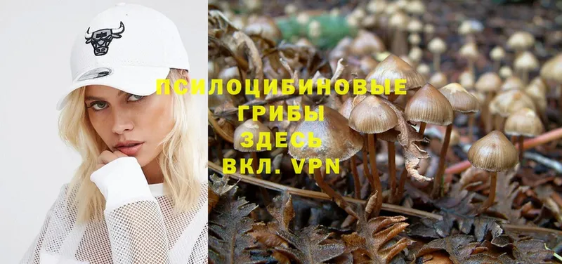 Галлюциногенные грибы Magic Shrooms Бахчисарай